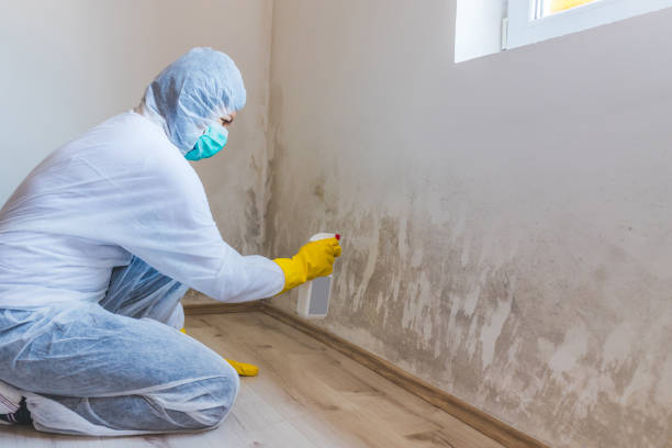 Licensed Bathroom Mold Removal service in Greenbush, VA - WQB Mold Removal