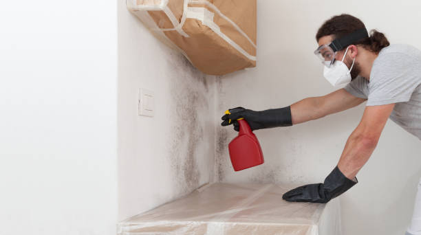 Professional Bathroom Mold Removal technician working in Greenbush, VA